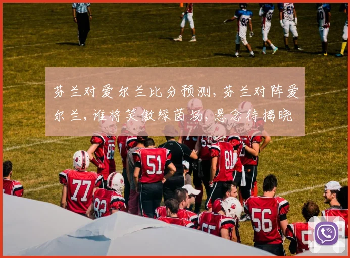 芬兰对爱尔兰比分预测,芬兰对阵爱尔兰,谁将笑傲绿茵场,悬念待揭晓,一触即发