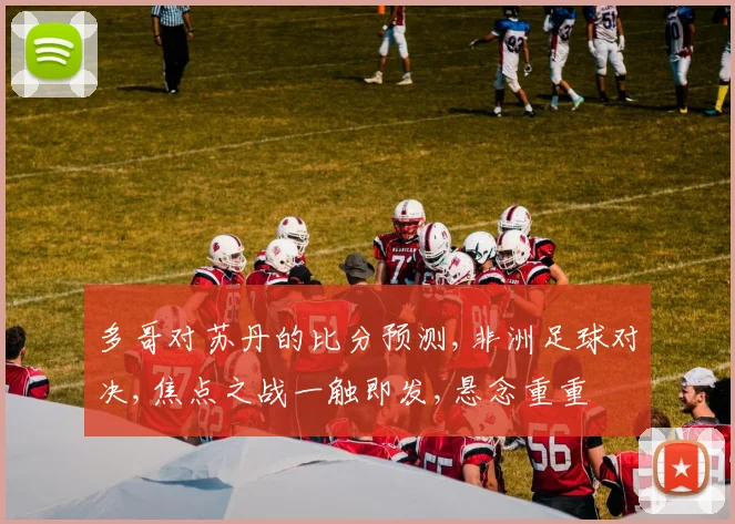 多哥对苏丹的比分预测,非洲足球对决,焦点之战一触即发,悬念重重